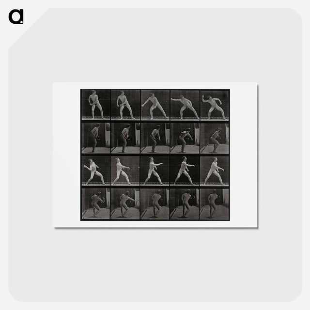 アートポストカード-Man Throwing a Ball
 - エドワード マイブリッジ Postcard.