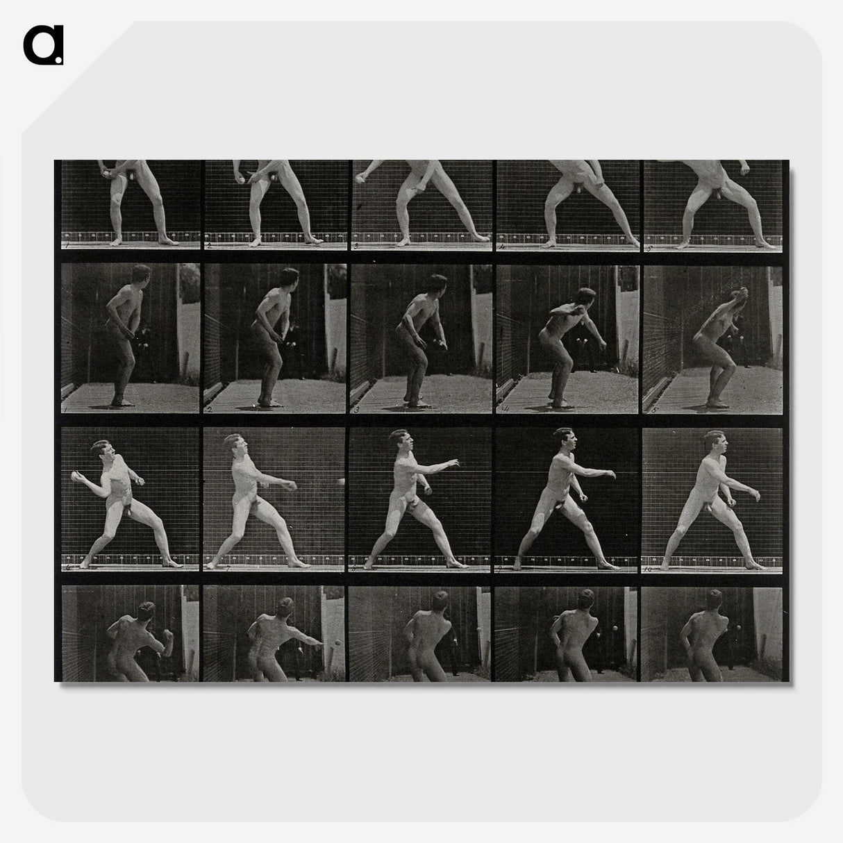 2-93_Eadweard-Muybridge_picture-crop