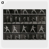 2-93_Eadweard-Muybridge_picture-crop