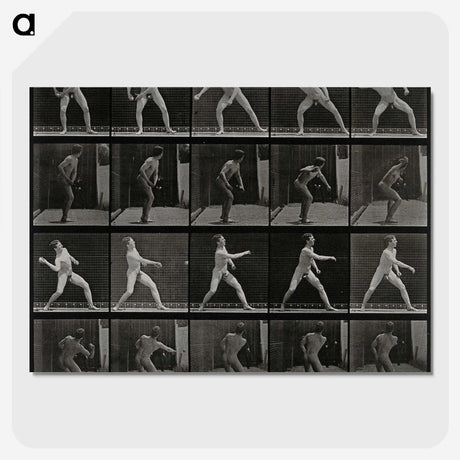 2-93_Eadweard-Muybridge_picture-crop