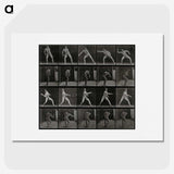 2-93_Eadweard-Muybridge_picture
