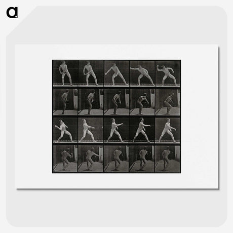 2-93_Eadweard-Muybridge_picture