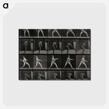 アートポストカード-Man Throwing a Ball
 - エドワード マイブリッジ Postcard.