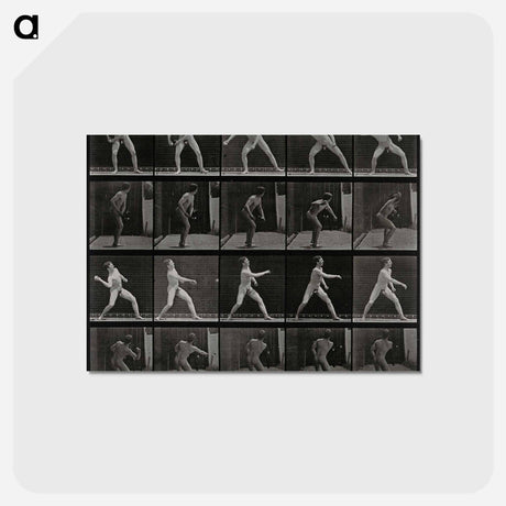 アートポストカード-Man Throwing a Ball
 - エドワード マイブリッジ Postcard.