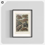 2-93_Ernst-Haeckel_blk