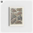 2-93_Ernst-Haeckel_memo
