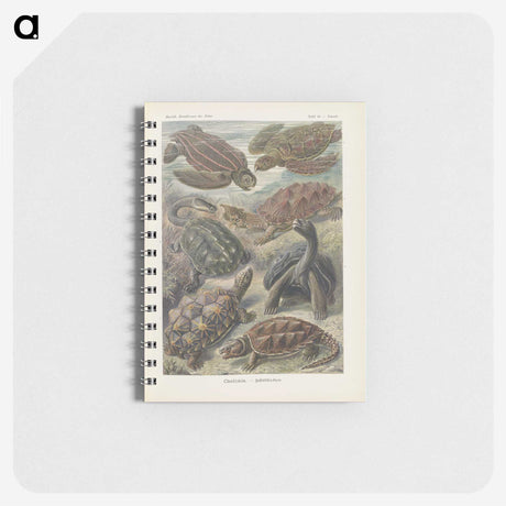 2-93_Ernst-Haeckel_memo