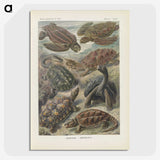 2-93_Ernst-Haeckel_picture-crop