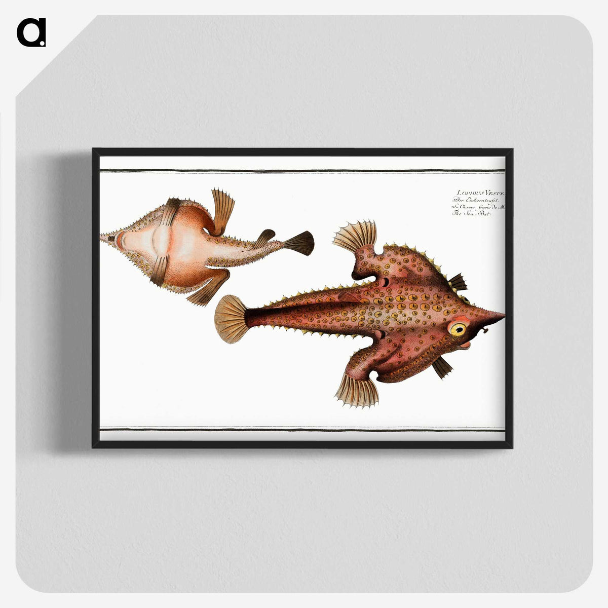 2-93_Ichtyologie-ou-Histoire-naturelle_blk-crop