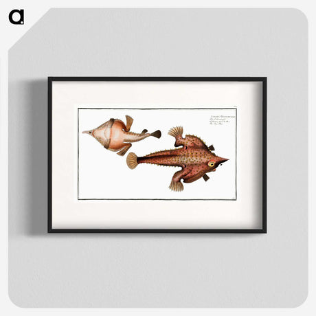 2-93_Ichtyologie-ou-Histoire-naturelle_blk