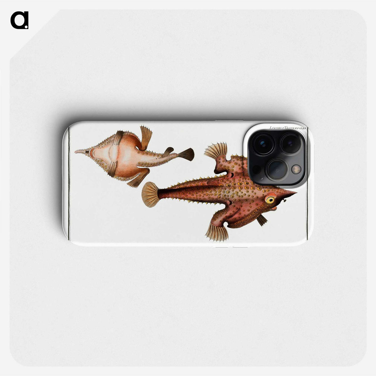 2-93_Ichtyologie-ou-Histoire-naturelle_phone