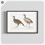 2-93_Indian-Zoology_blk