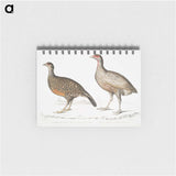2-93_Indian-Zoology_memo