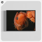 2-93_Insects-Unlocked-Project_blk-crop
