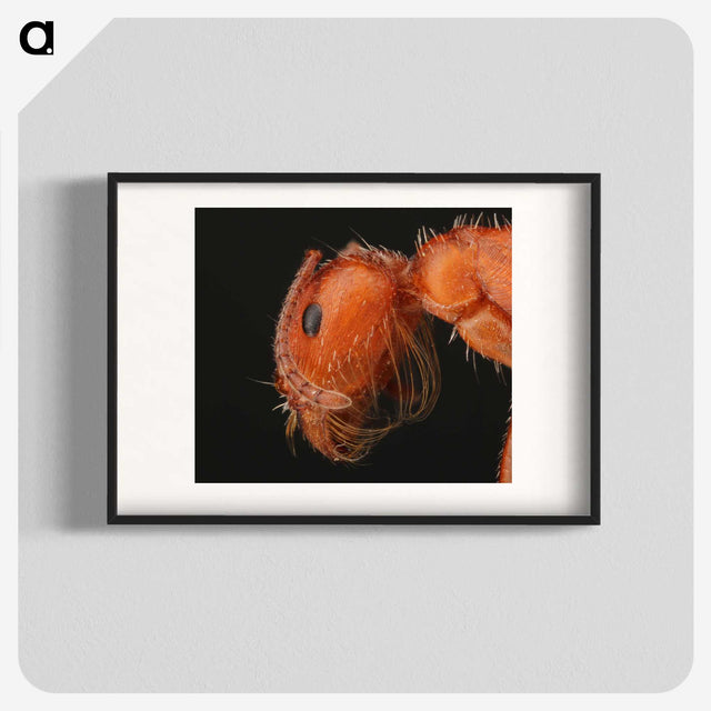 2-93_Insects-Unlocked-Project_blk