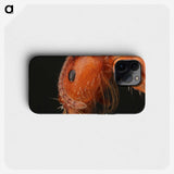 2-93_Insects-Unlocked-Project_phone