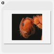 2-93_Insects-Unlocked-Project_picture