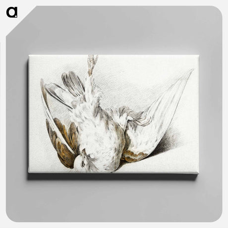 アートパネル-Dead pigeon - ジャン ベルナール Canvas.