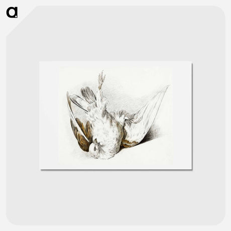 アートポストカード-Dead pigeon - ジャン ベルナール Postcard.