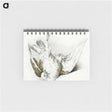 2-93_Jean-Bernard_memo