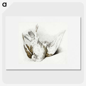 2-93_Jean-Bernard_picture