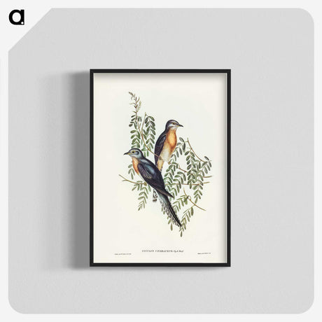 2-93_John-Gould_blk-crop