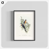 2-93_John-Gould_blk