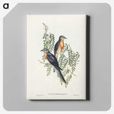 2-93_John-Gould_canvas