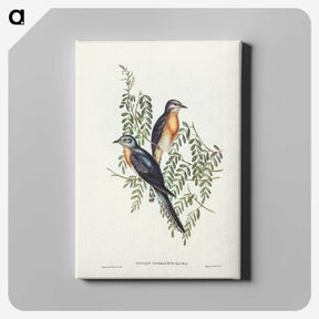 2-93_John-Gould_canvas
