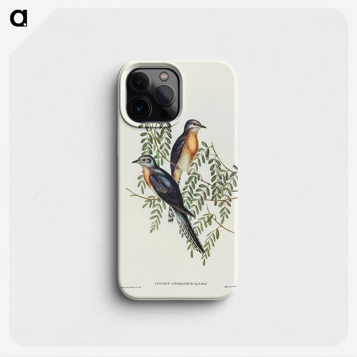 2-93_John-Gould_phone