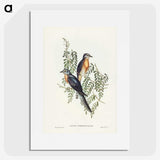 2-93_John-Gould_picture