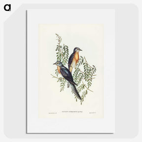 2-93_John-Gould_picture