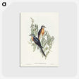 2-93_John-Gould_postcard