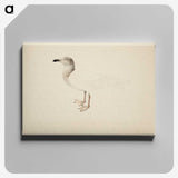 2-93_Magnus-von-Wright_canvas