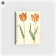 2-93_Maria-Sibylla-Merian_memo