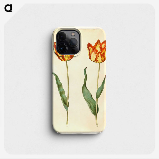 2-93_Maria-Sibylla-Merian_phone