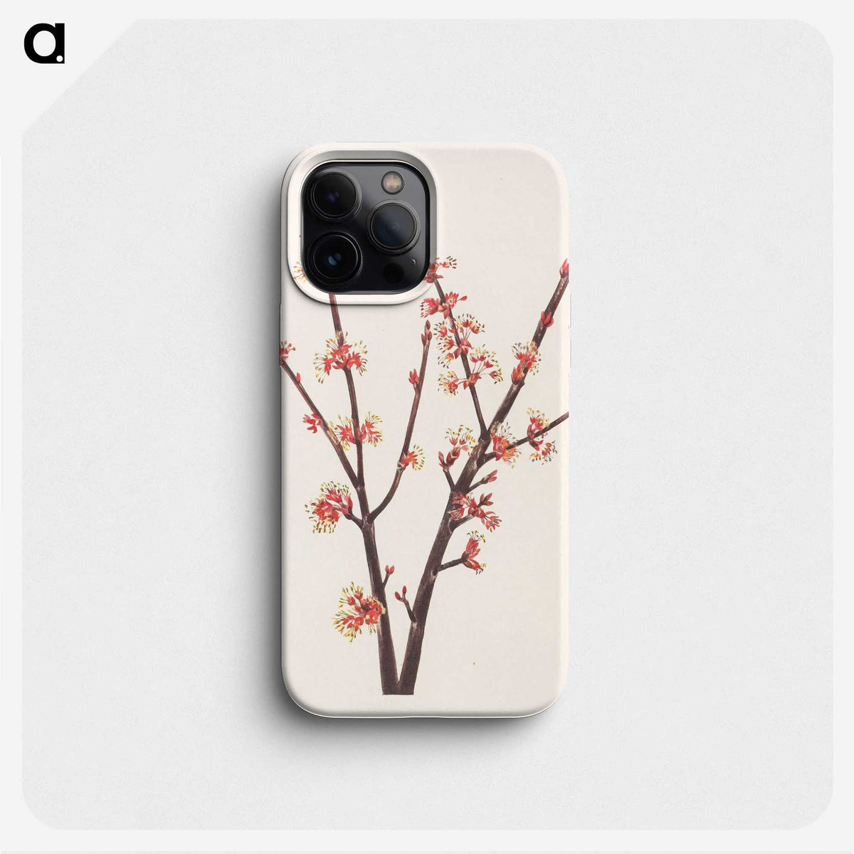 2-93_Mary-Vaux-Walcott_phone