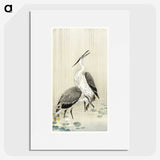 2-93_Ohara-Koson_picture
