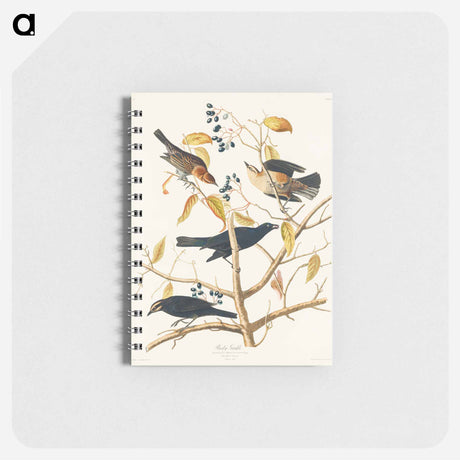 アートメモ帳-Rusty Grakle from Birds of America
 - アメリカの鳥たち Memo.