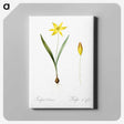 2-93_The-Lilies_canvas