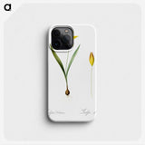 2-93_The-Lilies_phone