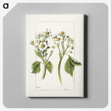 2-93_USDA-Watercolor-Fruit-Painting-Collection_canvas