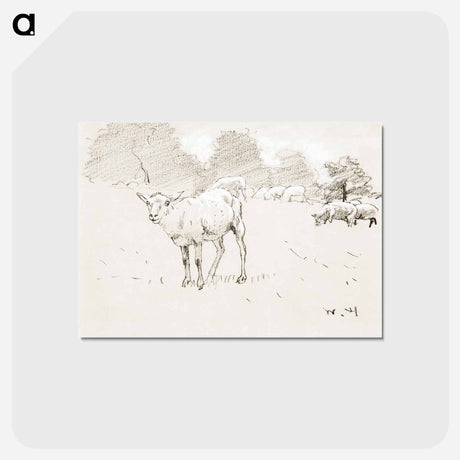 アートポストカード-Sheep Grazing in a Field - ウィンスロー ホーマー Postcard.