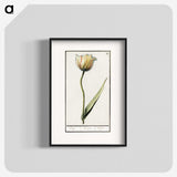 2-94_Anselmus-Boetius-de-Boodt_blk