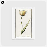 2-94_Anselmus-Boetius-de-Boodt_hagaki