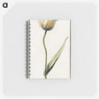 2-94_Anselmus-Boetius-de-Boodt_memo