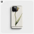 2-94_Anselmus-Boetius-de-Boodt_phone