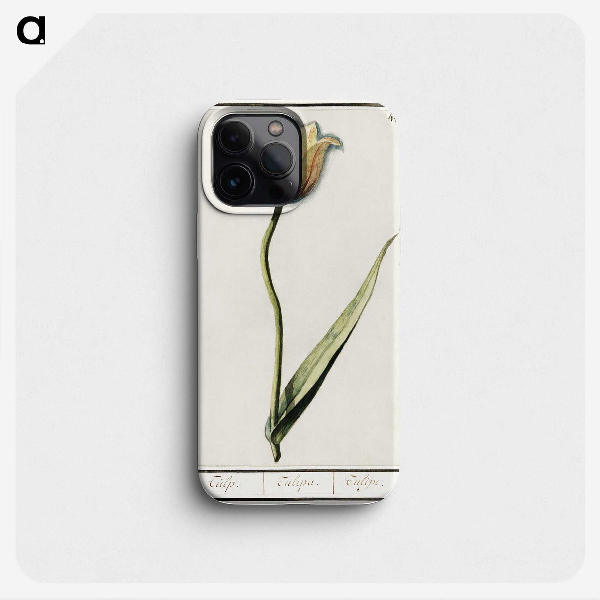 2-94_Anselmus-Boetius-de-Boodt_phone