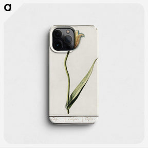 2-94_Anselmus-Boetius-de-Boodt_phone