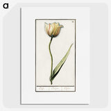 2-94_Anselmus-Boetius-de-Boodt_picture